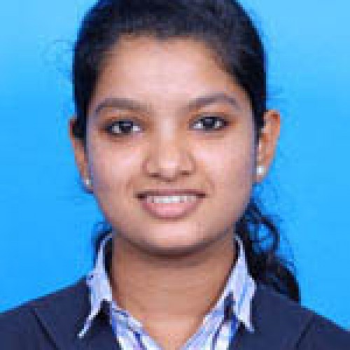 Depaul E M H S S Angamaly-Hanna Paul