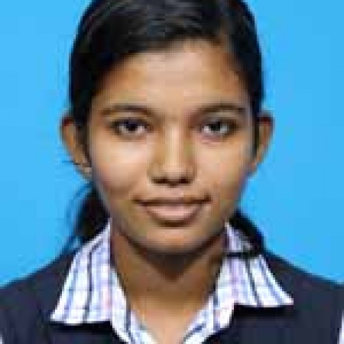 Depaul E M H S S Angamaly-NISNA CIBY