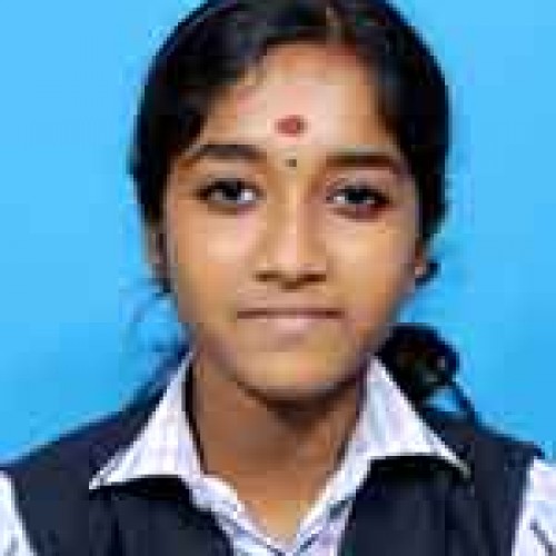 Depaul E M H S S Angamaly-NAVYA P.S