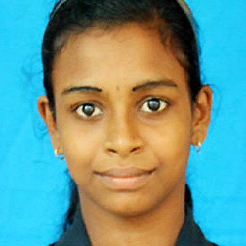 Depaul E M H S S Angamaly-Annmol Chackochan