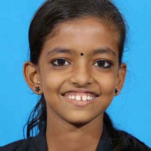 Depaul E M H S S Angamaly-SEETHA LAKSMI SUNIL 