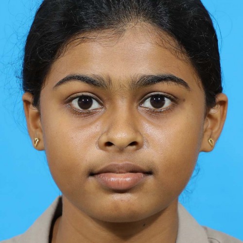 Depaul E M H S S Angamaly-VRINDA P SHAJAN